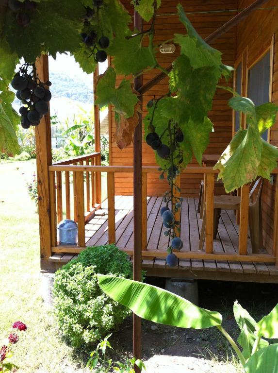 Estelar Bungalow Çıralı Zimmer foto
